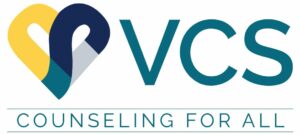 VCS, Inc. Logo